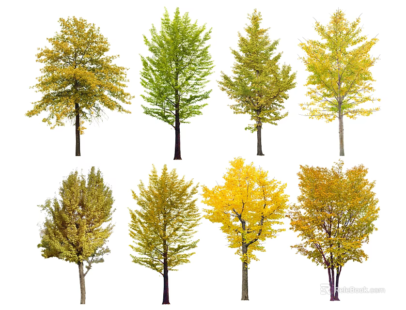 Diverse Arbor Trees With Various Green And Yellow Seasonal Foliage Shapes 3d model 