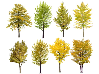 Diverse Arbor Trees With Various Green And Yellow Seasonal Foliage Shapes 3d model