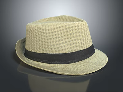 Light Beige Woven Hat With Black Band On Gray Background 3d model