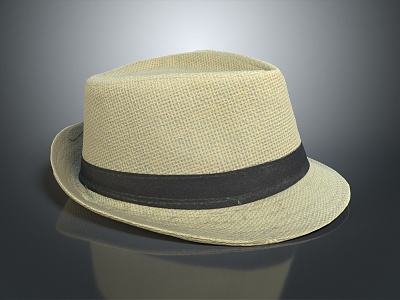 Modern Hat Men's Hat 3d model