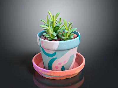 Colorful Decorative Flower Pot With Saucer And Green Succulent Plants 3d model