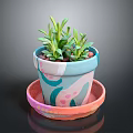 Colorful Decorative Flower Pot With Saucer And Green Succulent Plants