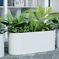 Stylish Garden Accent With White Rectangular Planter And Tropical Green Plants 3d model