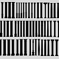 Classical Roman Columns in Various Architectural Styles and Decorative Designs