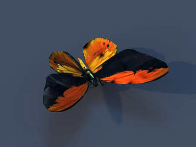 Vibrant Orange and Black Butterfly with Spread Wings on Gray Background 3d model