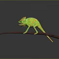 Green and Yellow Chameleon with Open Mouth Standing on Brown Branch and Black Background