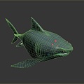 shark great white shark whale shark hammerhead shark tiger head shark man-eating shark blue shark coral red coral white coral 3d model