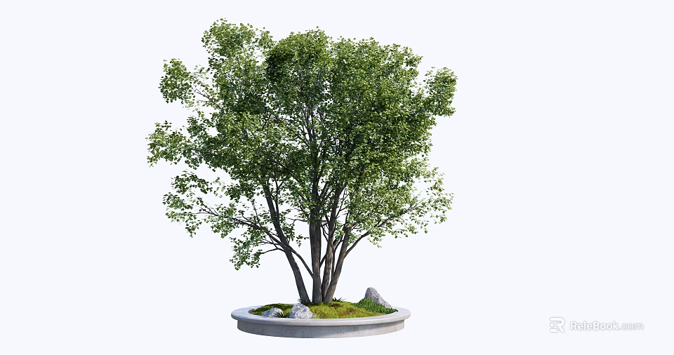 Lush Green Arbor With Multiple Trunks On Circular Stone Base With Moss And Stones 3d model 