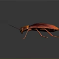 Red and Orange Cockroach with Long Antennae and Shiny Exoskeleton on Dark Background