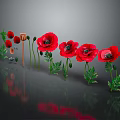 Red Poppies With Green Stems And Leaves On Gray Background With Reflections