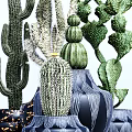 Varied Cactus Potted Plants In Blue Textured And Gold Speckled Vases For Home Decoration