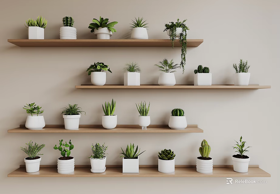 Potted Bonsai Plants Arranged On Wooden Shelves With White Pots And Various Greenery 3d model 