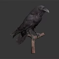 Realistic Black Crow Perched On Wooden Branch Against Dark Background