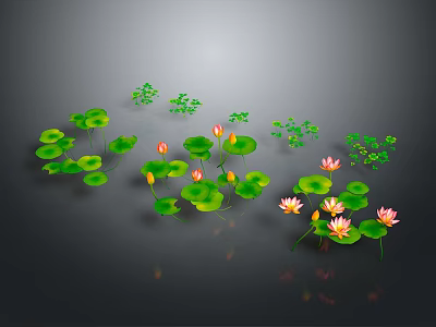 Beautiful Lotus Flowers And Green Leaves Floating On Water Surface With Small Plants 3d model