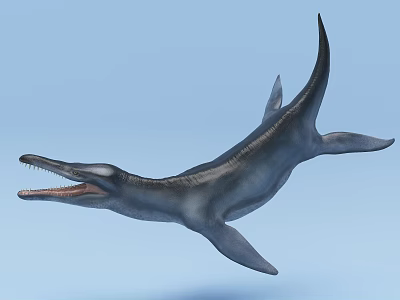 Ancient Reptile With Long Snout Sharp Teeth And Streamlined Body Swimming In Water 3d model