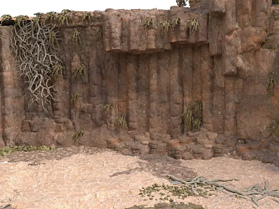 Rocky Stone Cliff With Wooden Tree Roots And Small Green Plants In Natural Environment 3d model