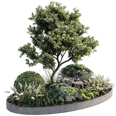 Lush Layered Plant Combination With Tall Trees Round Shrubs And Feathery Grasses 3d model