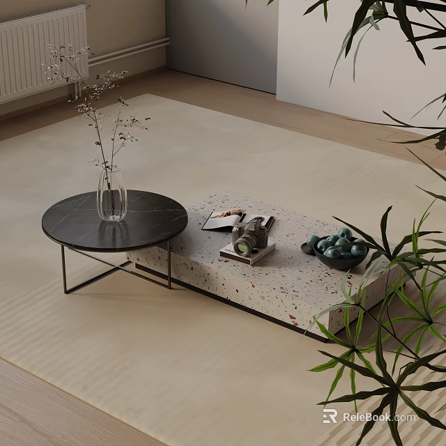 Modern Sofa Coffee Table Set With Round Black Table Magazines Vase And Green Decor 3d model