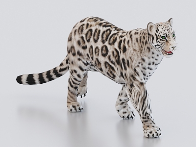 snow leopard animal 3d model