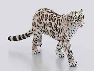 Realistic Snow Leopard Model With White Black Spots Standing On Smooth Surface 3d model