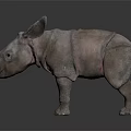 Detailed 3D Rhinoceros Model With Realistic Skin Texture And Digital Rendering
