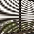 Wooden Venetian Blinds On Large Window With Natural Light Indoor Greenery View And Wooden Floor