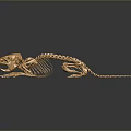 Golden Lizard Skeleton with Detailed Skeletal Structure and Reflection on Dark Background 3d model