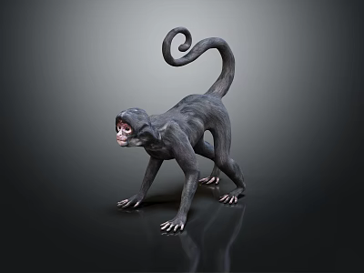 Realistic Black Monkey With Curled Tail Open Mouth On Black Background With Reflection 3d model