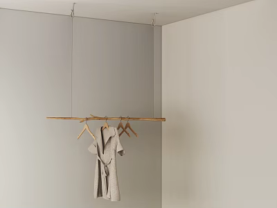 Qui Hanging Hangers 3d model