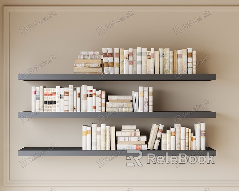 Bookshelf Storage Shelf Books Books model