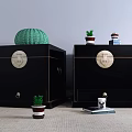Black Entryway Side Cabinets With Circular Brass Handles Green Knitted Item And Small Potted Plants