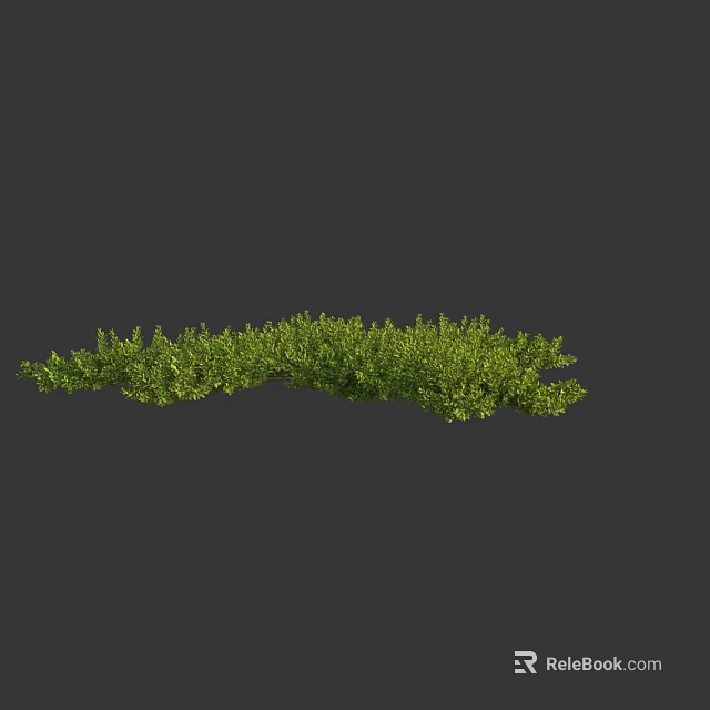 Lush Green Bush Plants With Dense Fresh Foliage In Outdoor Garden 3d model 