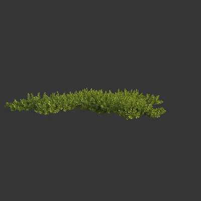 Lush Green Bush Plants With Dense Fresh Foliage In Outdoor Garden 3d model