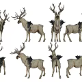 Mythical Winged Deer With Large Antlers Rocky Textures Various Poses In Game And Movie Scenes