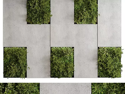 Living Plant Wall Design With Lush Green Foliage On Gray Concrete Panels 3d model