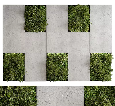 Living Plant Wall Design With Lush Green Foliage On Gray Concrete Panels 3d model
