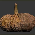 Fresh Orange Pumpkin With Bumpy Texture And Brown Stem On Dark Background