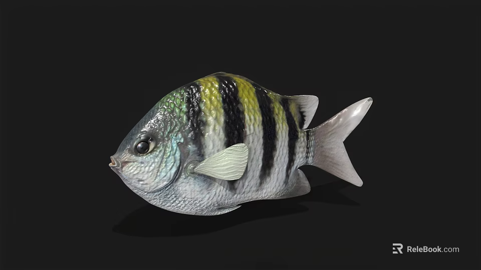 Beautiful Colorful Striped Tropical Fish with Vibrant Body Fins Tail and Exotic Details 3d model 