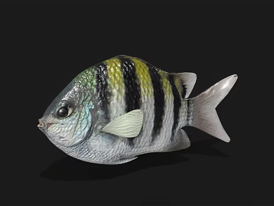 Beautiful Colorful Striped Tropical Fish with Vibrant Body Fins Tail and Exotic Details 3d model