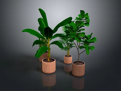 Various Green Potted Plants in Brown Pots Against Dark Background 3d model