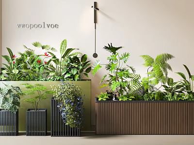 Potted Bonsai Plants Indoor Decor With Various Green Ferns And Flowering Plants In Stylish Planters 3d model