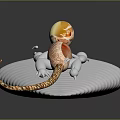 Orange and White Spotted Lizard with Yellow Head Structure on White Rock Against Dark Background