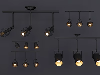 Modern Industrial Downlights And Spotlights With Black Metal Frame And Spherical Shades 3d model