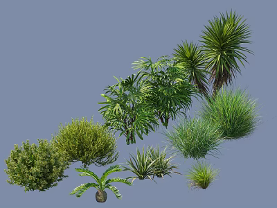 Various Types Of Green Shrubs With Different Leafy Plants And Decorative Bushes 3d model