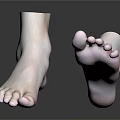Man Feet 3D Rendered Anatomical Model With Realistic Toes And Skin Texture