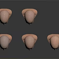 Male Head Models With Bald Heads And Various Facial Features
