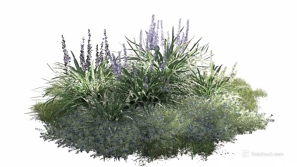 Vibrant Purple Blooms and Green Foliage with Low Growing Plants in Lush Garden 3d model 