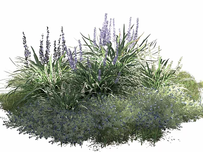 Vibrant Purple Blooms and Green Foliage with Low Growing Plants in Lush Garden 3d model
