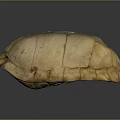 Realistic Light Brown Turtle Shell With Detailed Texture And Smooth Surface