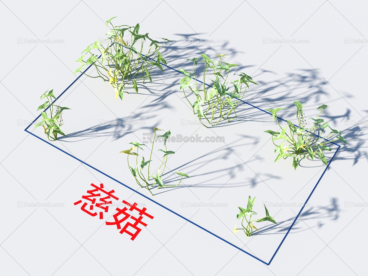 Cushroom Flowers and Plants 3d model